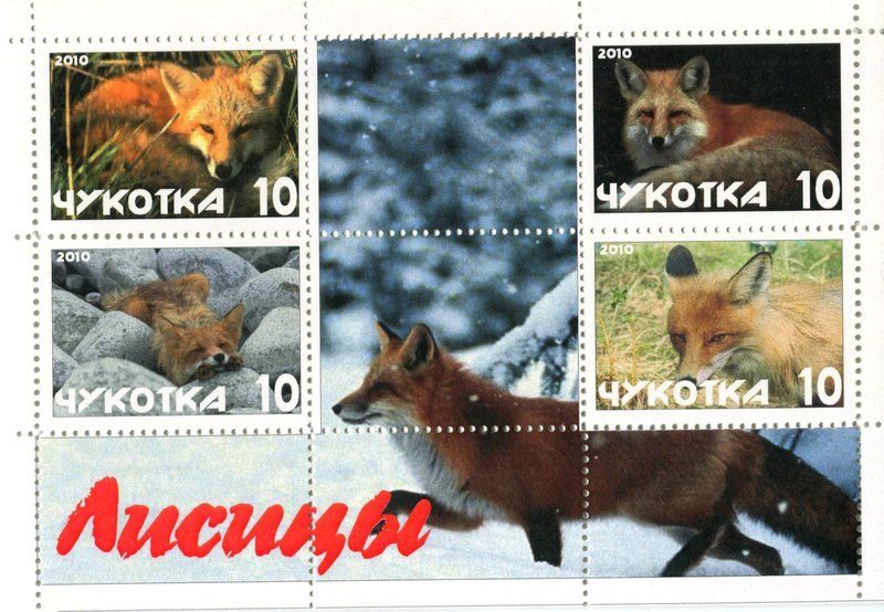 Tous les timbres: Block "Rotfuchs". Tschukotka – Neuf avec emballage d'origine à Basel par Butsch5
