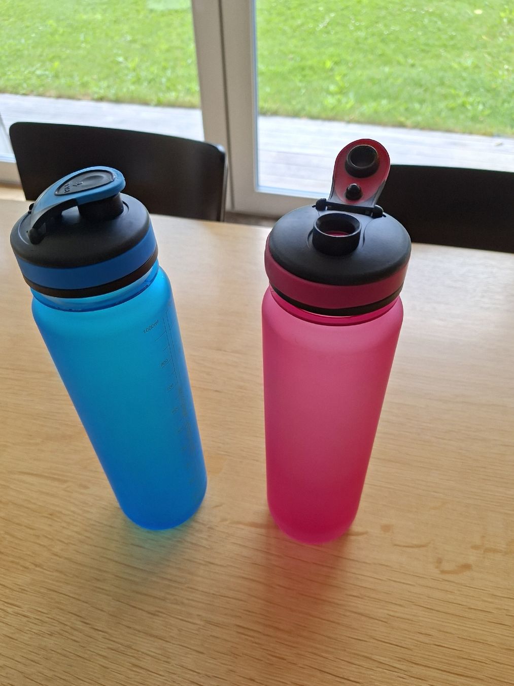 Borracce & Thermos: Trinkflaschen, 2 Stück, 1 Liter  – Usato da Kappel SO venduto da Alaska1313
