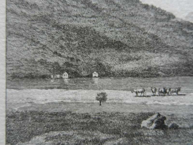 Incisioni: Walensee Kupferstich – Usato da Risch venduto da Rischli15 9