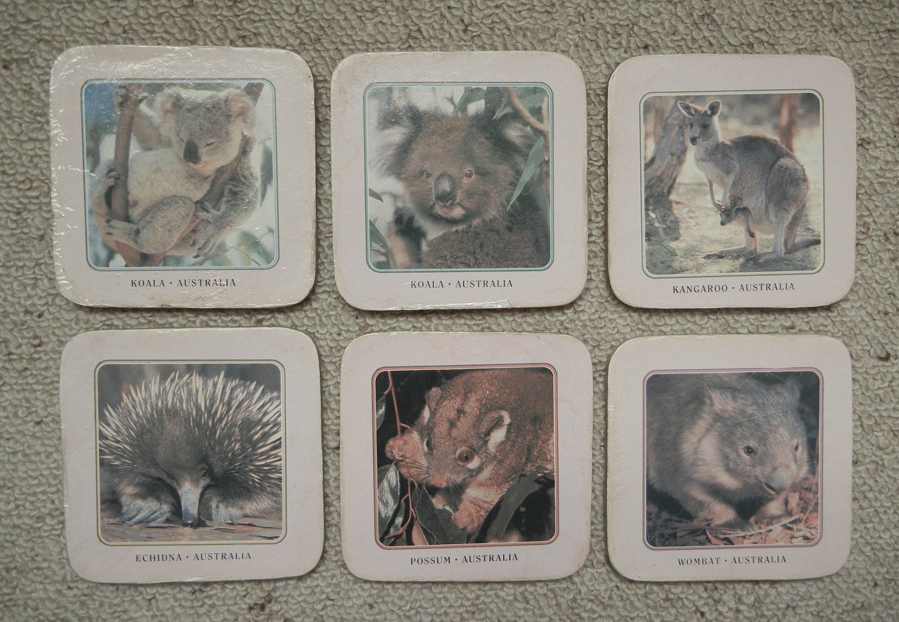Sottobicchieri: BIERDECKEL-GETRÄNKEDECKEL AUSTRALIEN versch. TIERE – Usato da Bern venduto da Mekongbeach