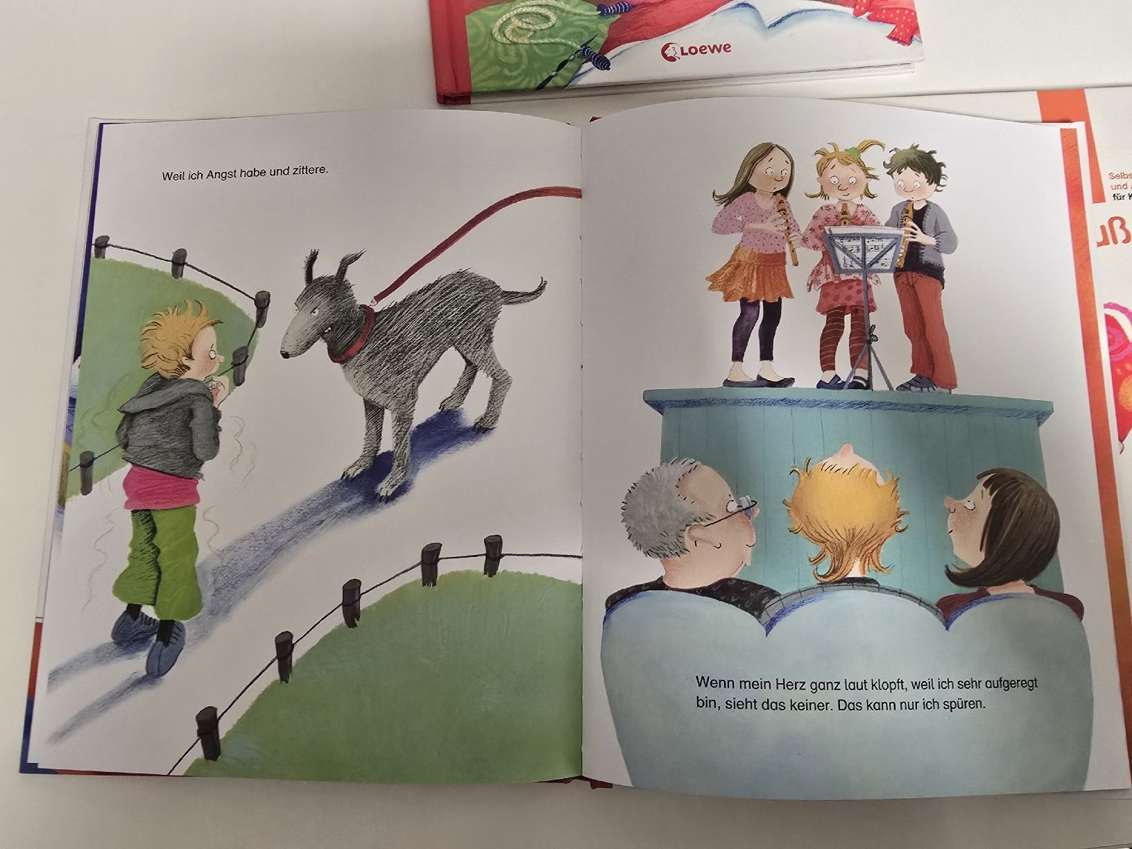 Libri: 3 Kinderbuecher zu Gefuehle, Koerper u.s.w  set – Usato da Wittenbach venduto da Tigerlili 1