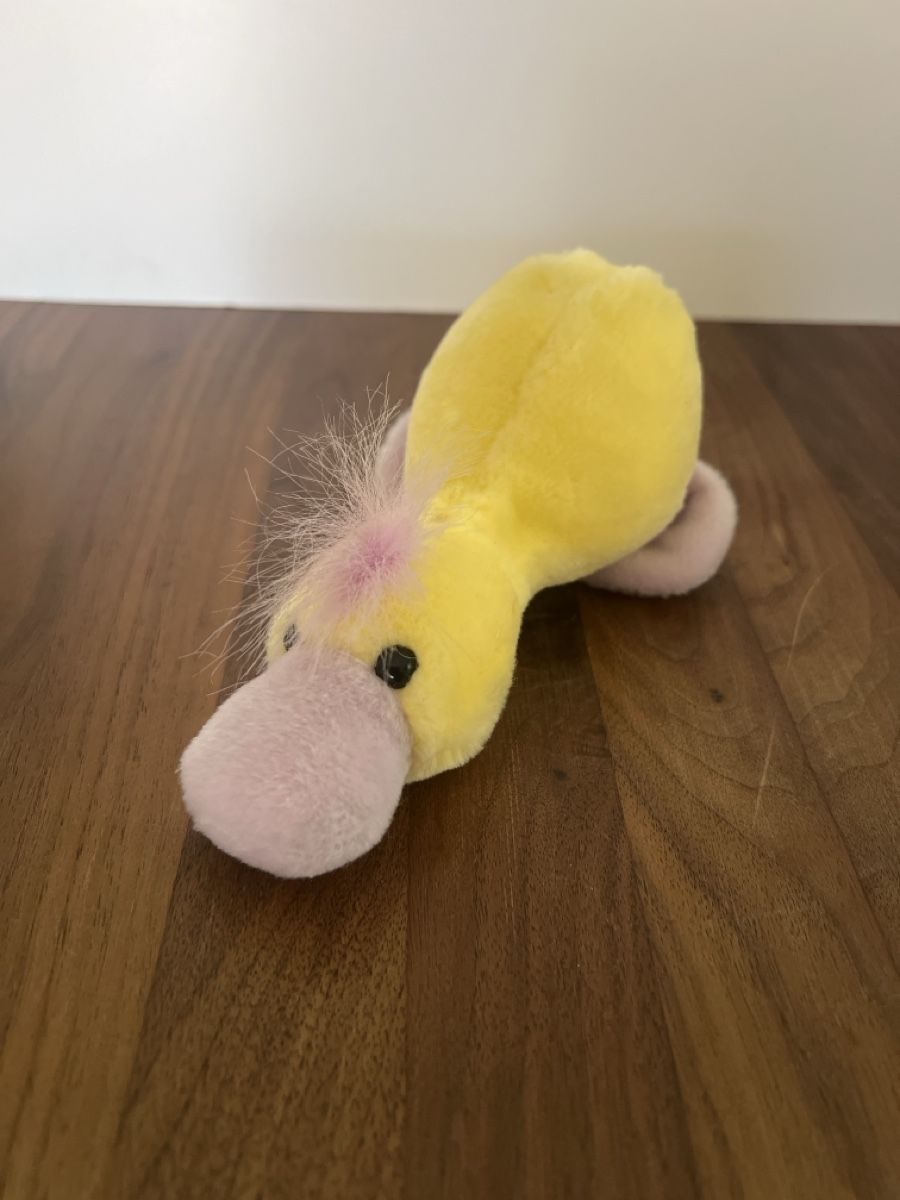 Jouets: Plüschtier kleine Ente – D'occasion à Altdorf UR par JanAil