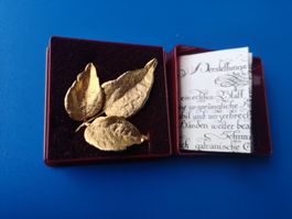 Echtes Blatt vergoldet Brosche