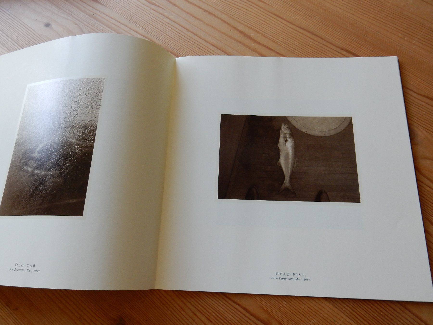 Documenti: Kunst Katalog Max Kellenberger – Nuovo (secondo la descrizione) da Jona venduto da JOberg_25 2