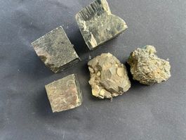 Stein
