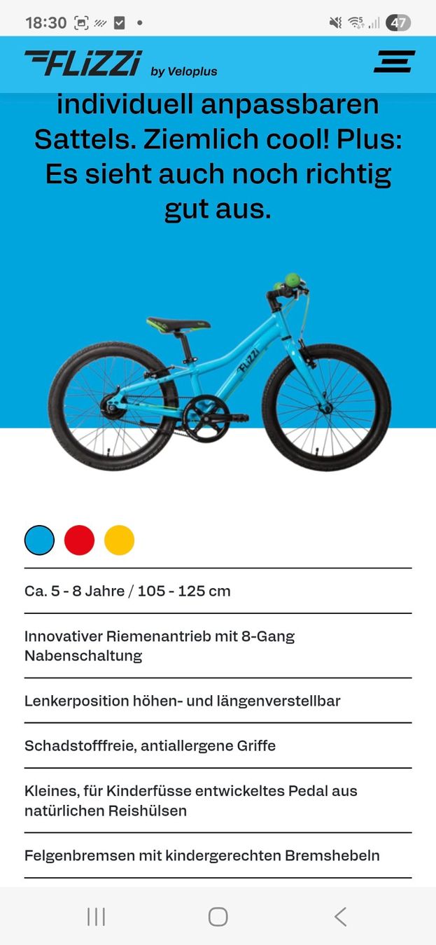 Flizzi Vélos: Flizzi blau, 20 Zoll – D'occasion à Winterthur par heldin_nr10 6