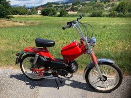 vélomoteur Pony