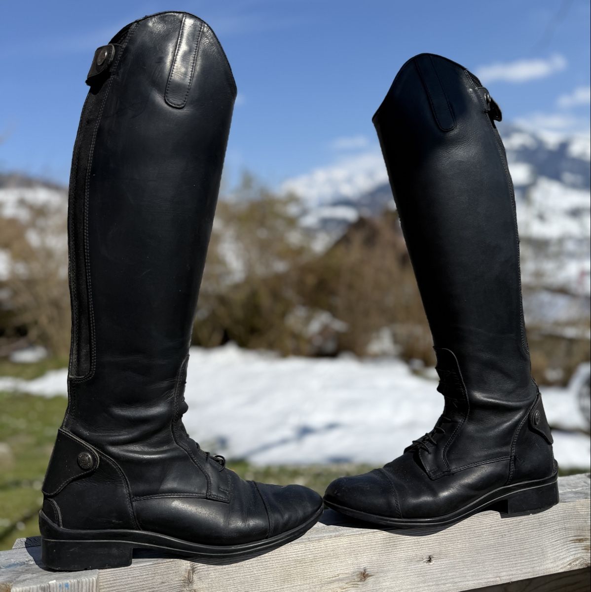 Felix Bühler Damenschuhe: Reitstiefel Favourite III Gr.40 – Gebraucht aus Nesslau von Arthos3 2
