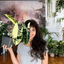 Profile image of LadyLeaf_Ellis1