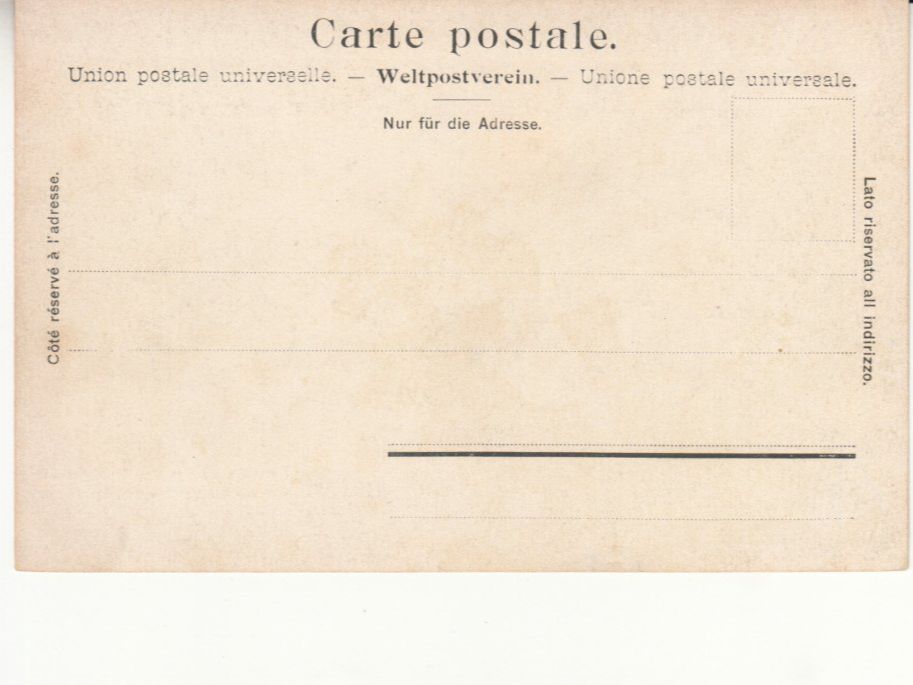 Ansichtskarten: Le Sommet Rochers de Naye ca.1910 – Gebraucht aus Bürglen TG von StampGraf 1