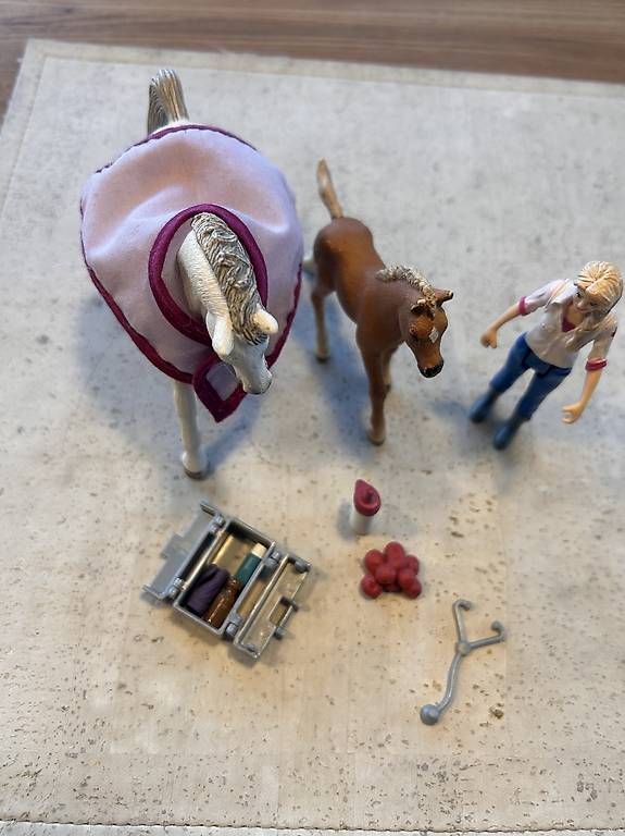 Giocattoli: Schleich Tierärztin  – Usato da Allschwil venduto da zena06 3
