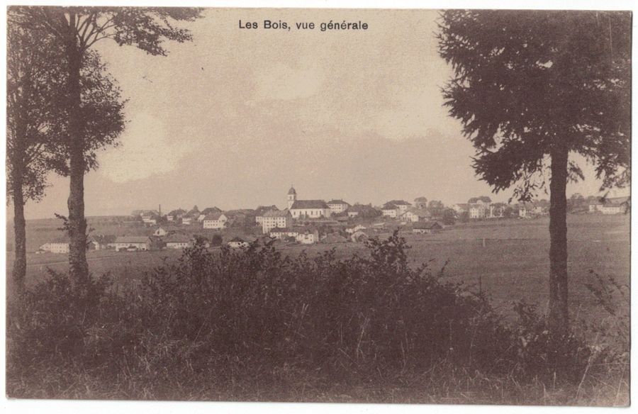 Cartoline postali: Les Bois, vue générale, poste de campagne / Feldpost – Usato da Frauenfeld venduto da POML