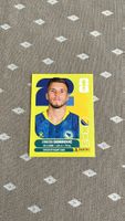 Panini FIFA World Cup 2026 Sticker BIH 17