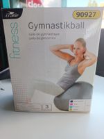 Crane Gymnastikball