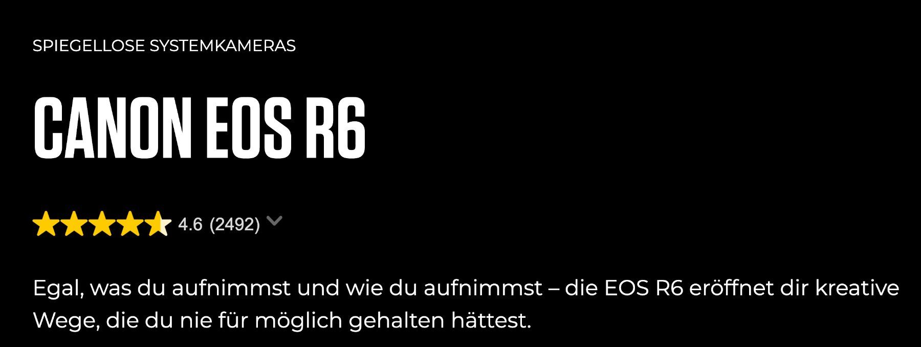 Canon Fotocamera: CANON EOS R6 spiegelloses Kamera . Vollformat R 6 Body – Usato da Emmen venduto da 010 1