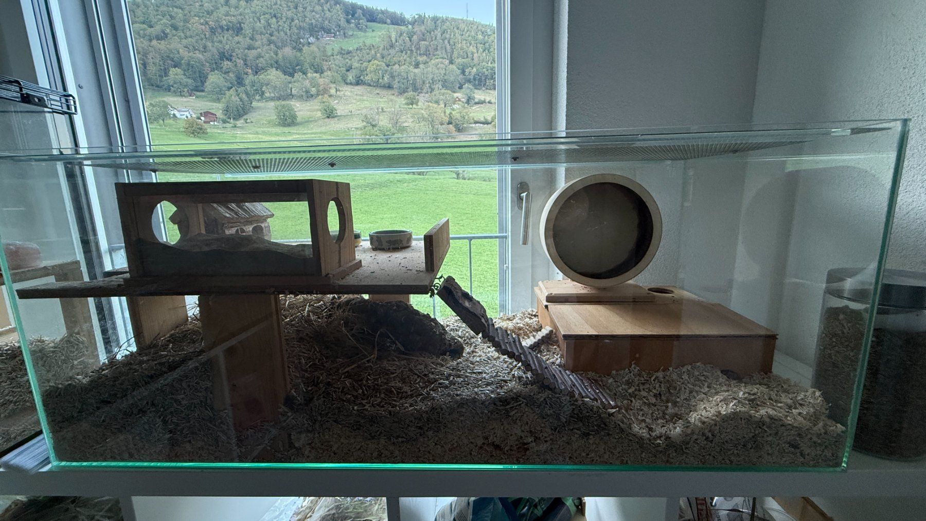 Terrario: Glasterrarium für Hamster – Usato da Rüthi (Rheintal) venduto da Foxy25