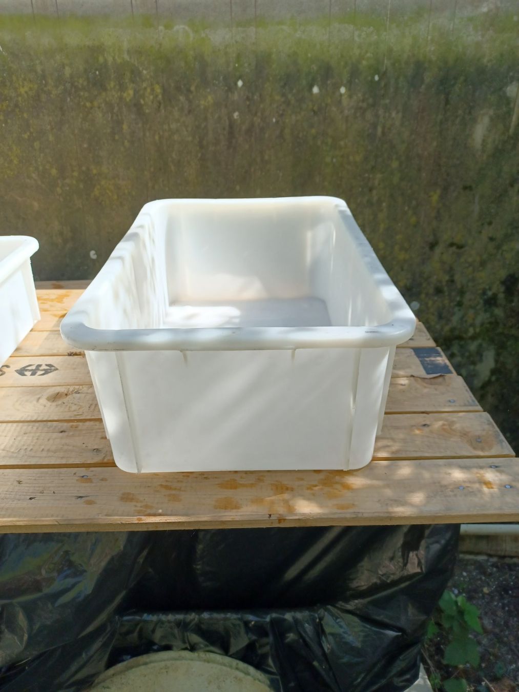Altro per la casa: Bac en plastique pour aliment – Usato da Nyon venduto da dlu_2yfc