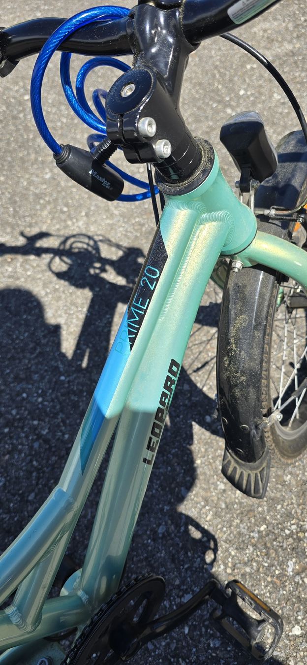 Leopard Biciclette: Leopard Jugendvelo Avalon Prime 20 " – Usato da Gwatt (Thun) venduto da Alonso82 2