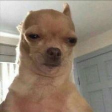 Profile image of LerioxHD