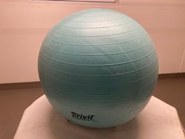 Gymnastikball Crivit Sports