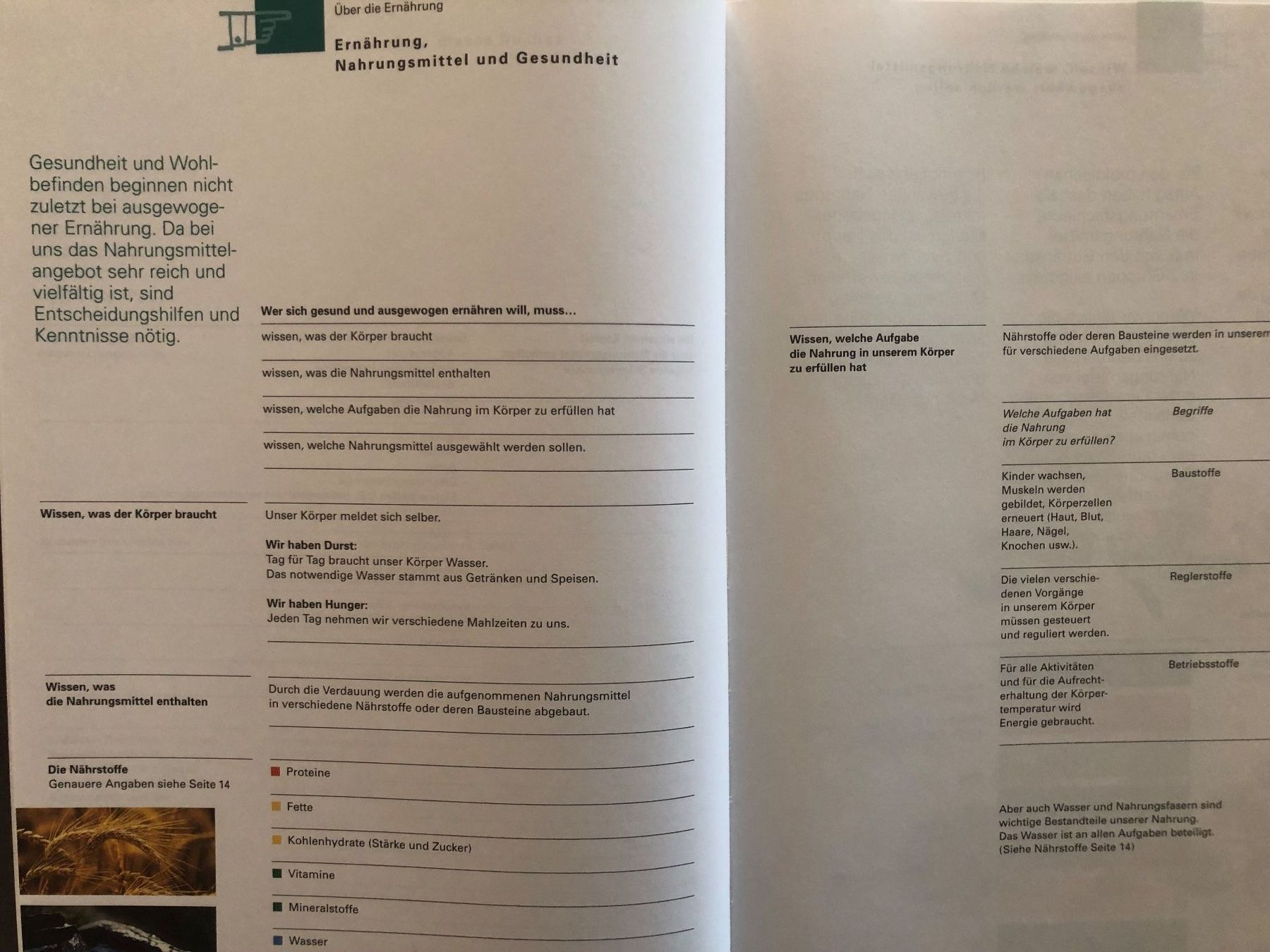 Libri: Peperoni - Esther Naegeli-Streuli – Usato da Pfäffikon ZH venduto da Wacardo 6