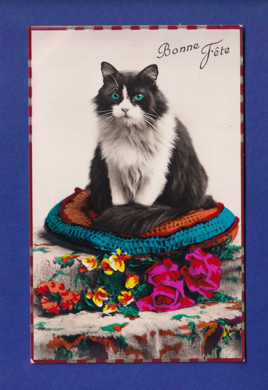 Cartoline postali: CHAT - Bonne Fête – Usato da Pully venduto da nicecards-shop