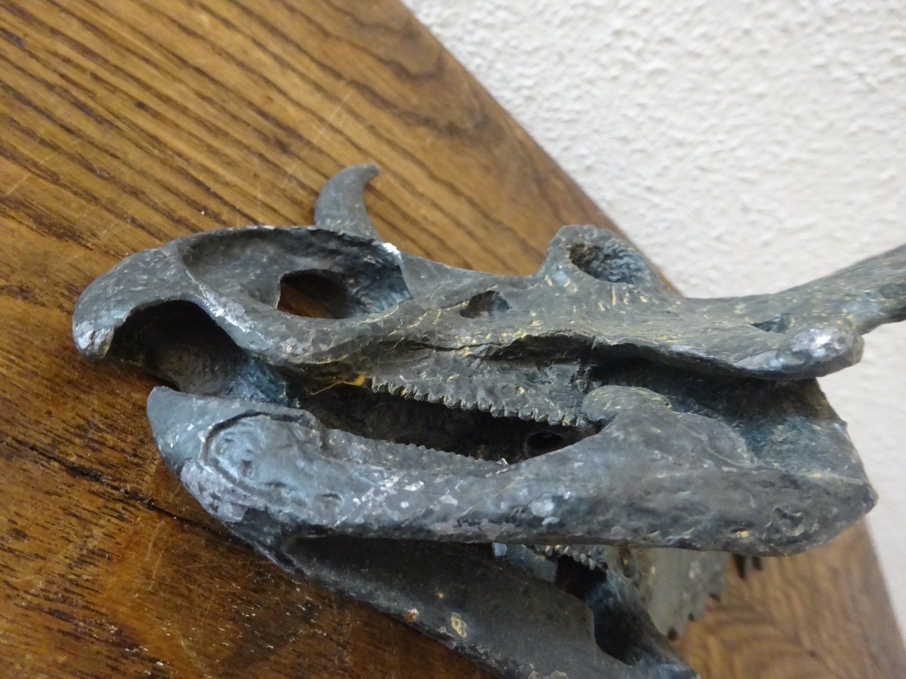 Fossili: Saurier Schädel – Usato da Esslingen venduto da eintagammeer 5