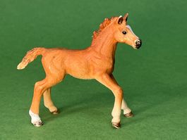 Schleich Fohlen aus Set Schleich 42458 Hannas Gastpferde