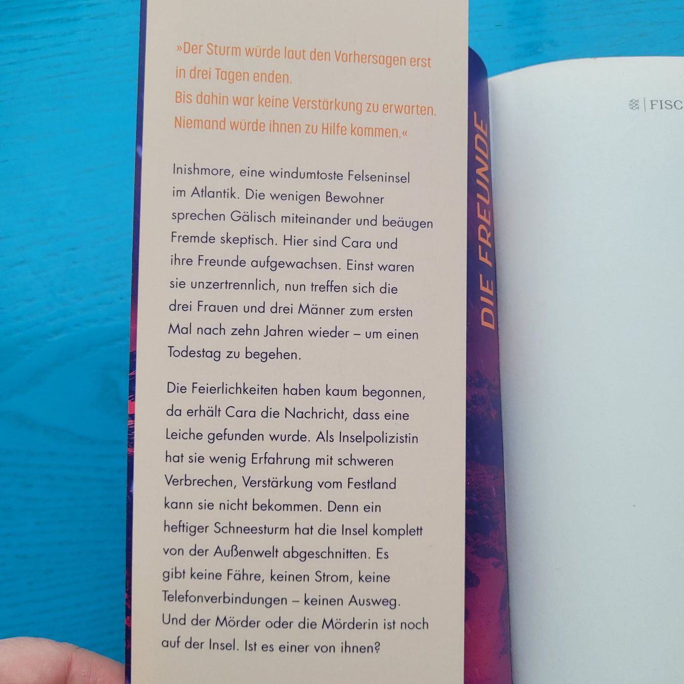 Libri: Triona Walsh - Schneesturm – Nuovo (secondo la descrizione) da SCHÜBELBACH venduto da CoKaHa 3
