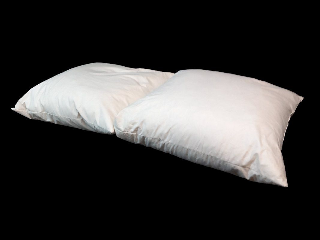 Coussins: 2er Set Feder-Kissen – Neuf (Voir description) à Hünenberg par Restwert_Zug 2