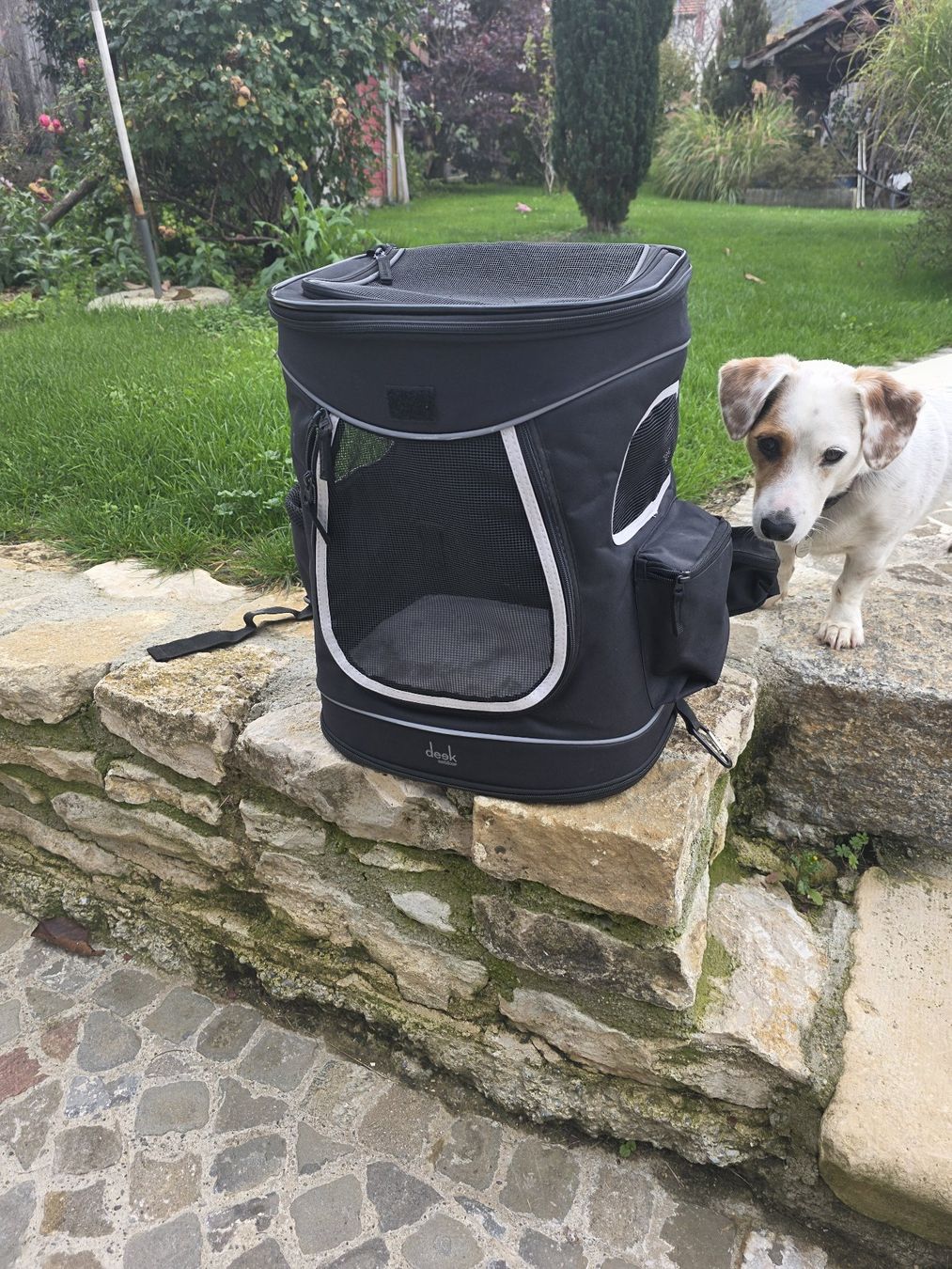 Cucce & Letti: Sac à dos pour chien – Nuovo (secondo la descrizione) da Bourrignon venduto da michelo00 2