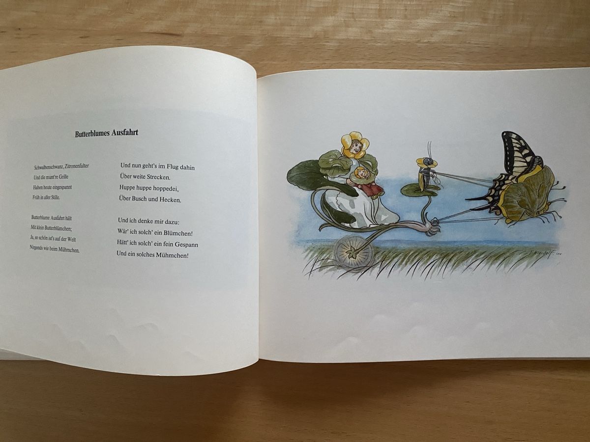 Libri: Blumen-Märchen - Ernst Kreidolf – Usato da Schwarzenburg venduto da Michellu 5