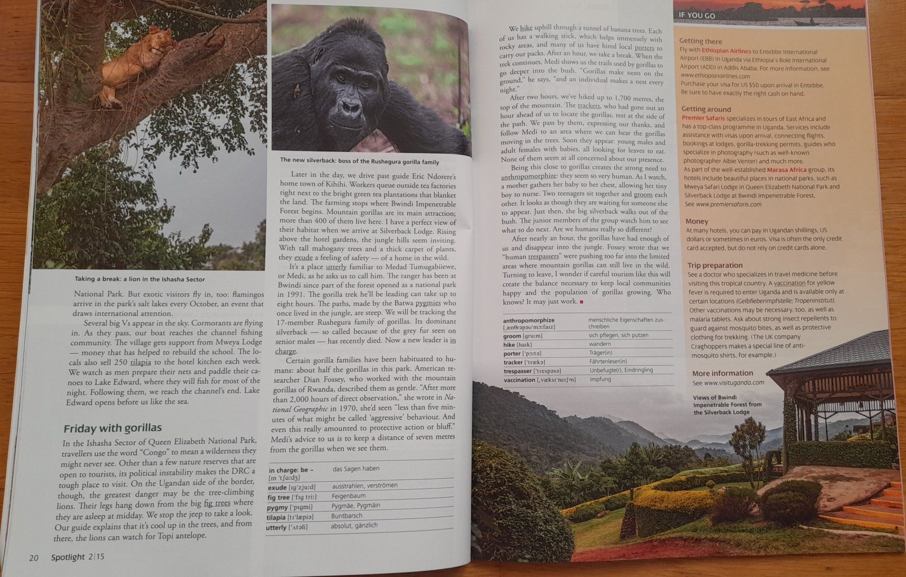 Riviste & Magazine: 13 Stk. Spotlight - Sprachmagazine Englisch – Usato da Richigen venduto da lis_qql9 5