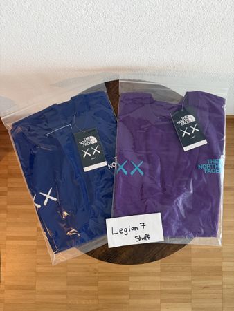 Kaws x The North Face T-Shirt Bundle / DSWT/ Size M Both