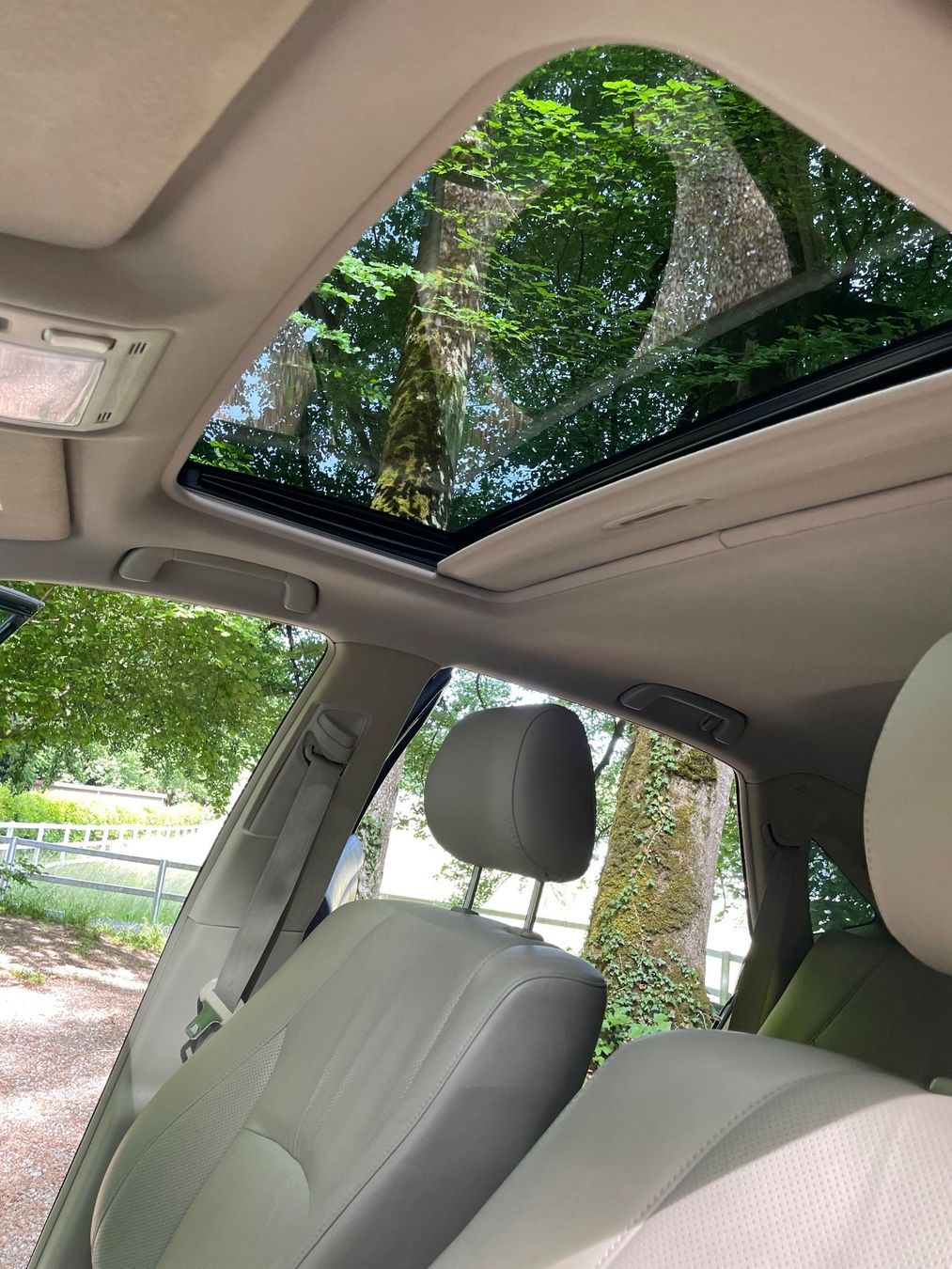 Lexus Automobili: Lexus RX400h – Usato da Thörishaus venduto da Pearl2829 9
