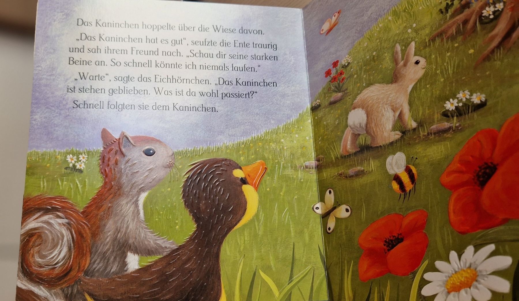 Libri: Die kleine Ente, Bilderbuch – Nuovo (secondo la descrizione) da Oberdorf BL venduto da Eselsohr21 4