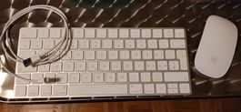 Clavier et souris Apple Magic sans fil avec câble USB