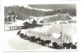 Arosa (GR) Bahnhof R.H.B. - Hotel-Winter-Kutschen - 1941