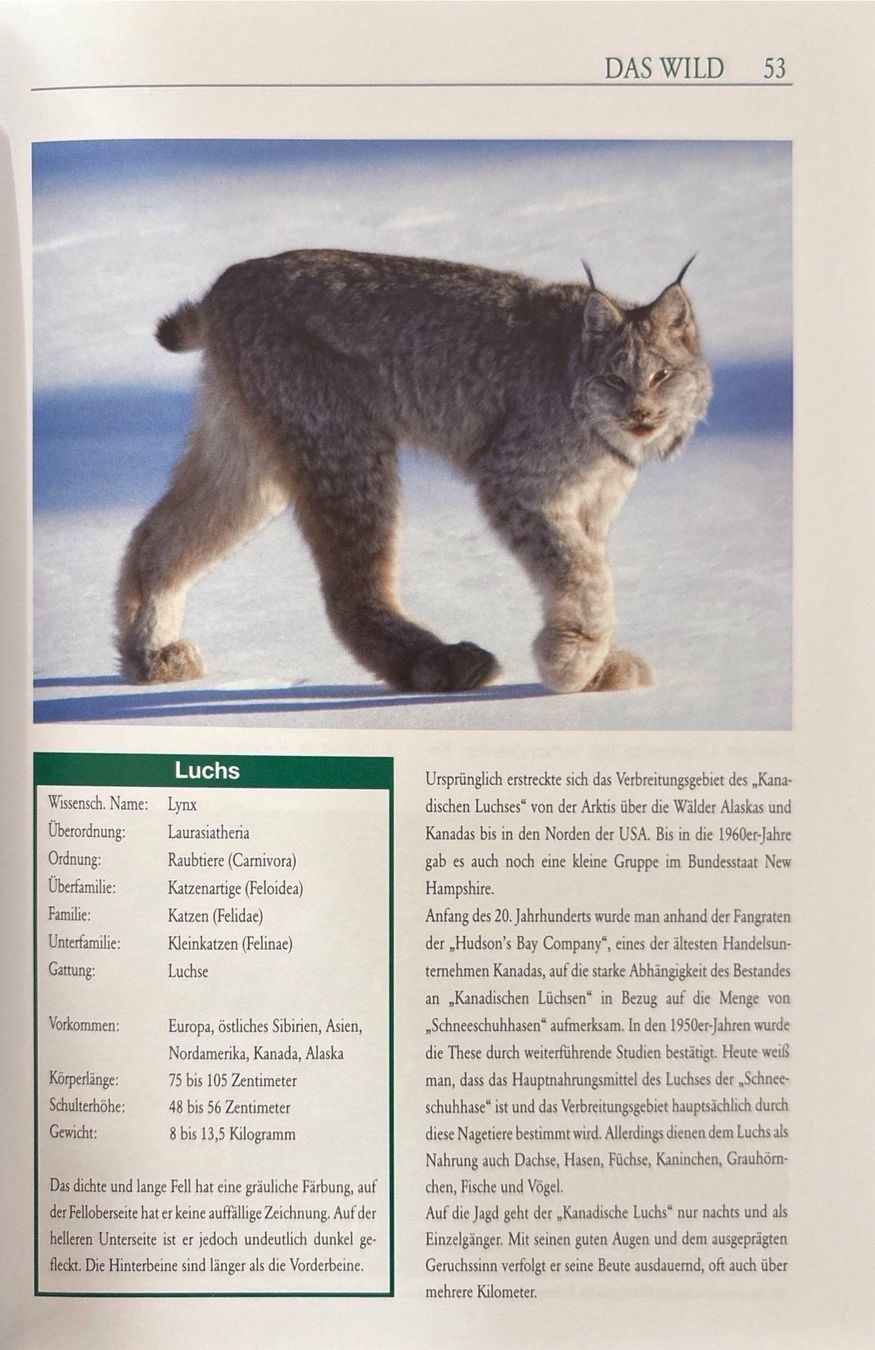 Bücher: Die Jagd – Neu (gemäss Beschreibung) aus Sarnen von Livres 8