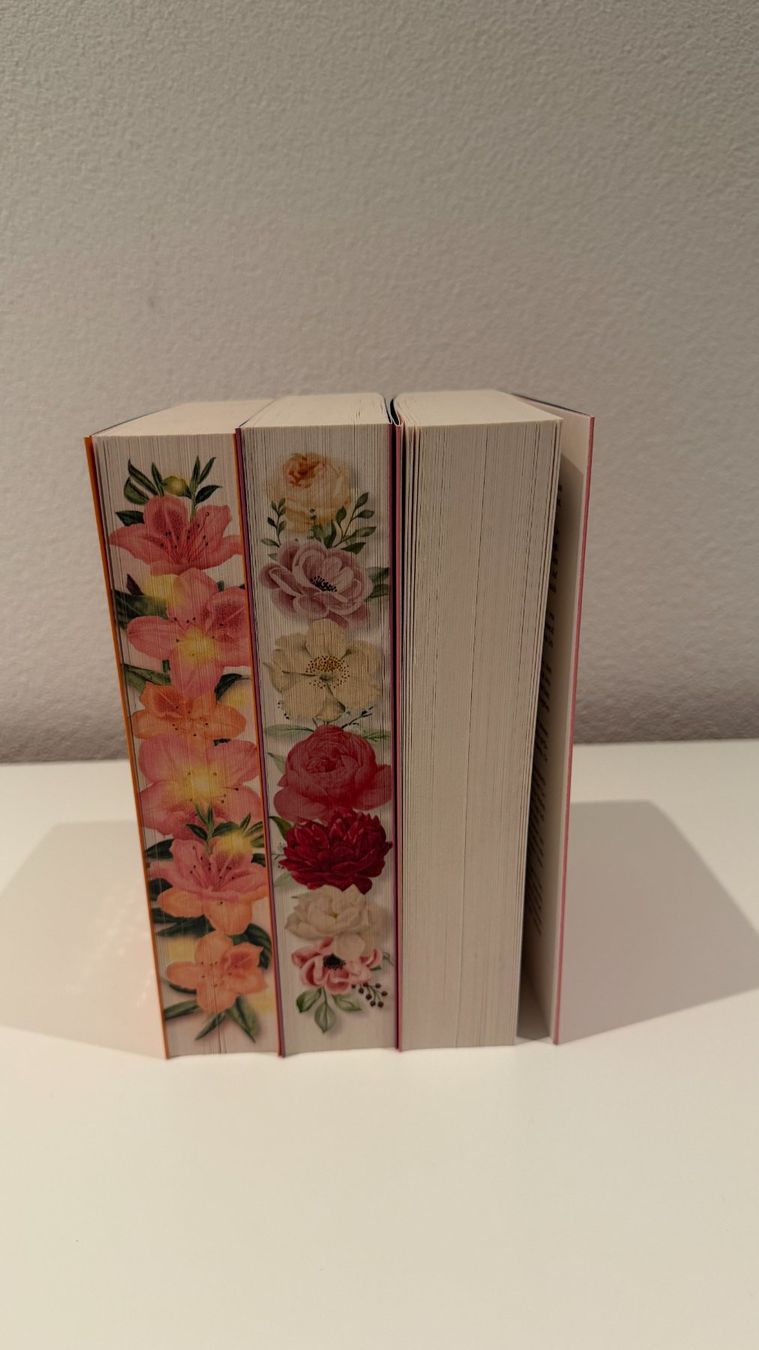 Livres: Brightest Light Trilogie - Lisina Coney – Neuf (Voir description) à Romanshorn par darinaah 2