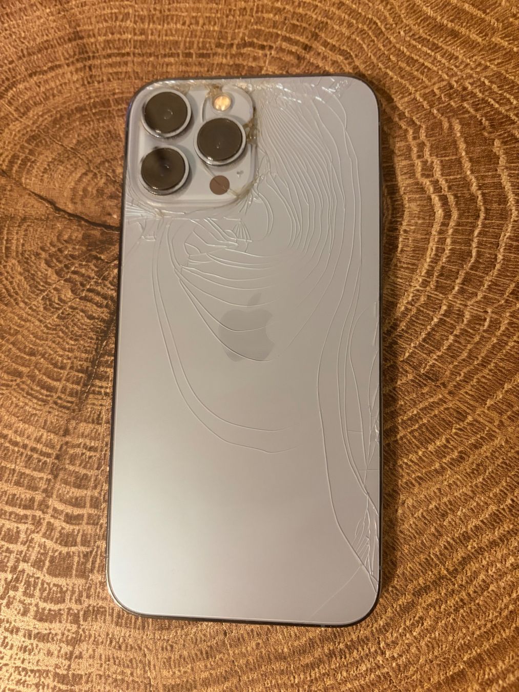 Apple Telefoni cellulari / Smartphones: Iphone 13 Pro Max 128 GB – Usato da Liebefeld venduto da _maedle 1