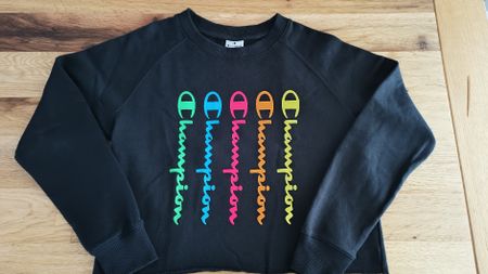 Champion Pullover XS