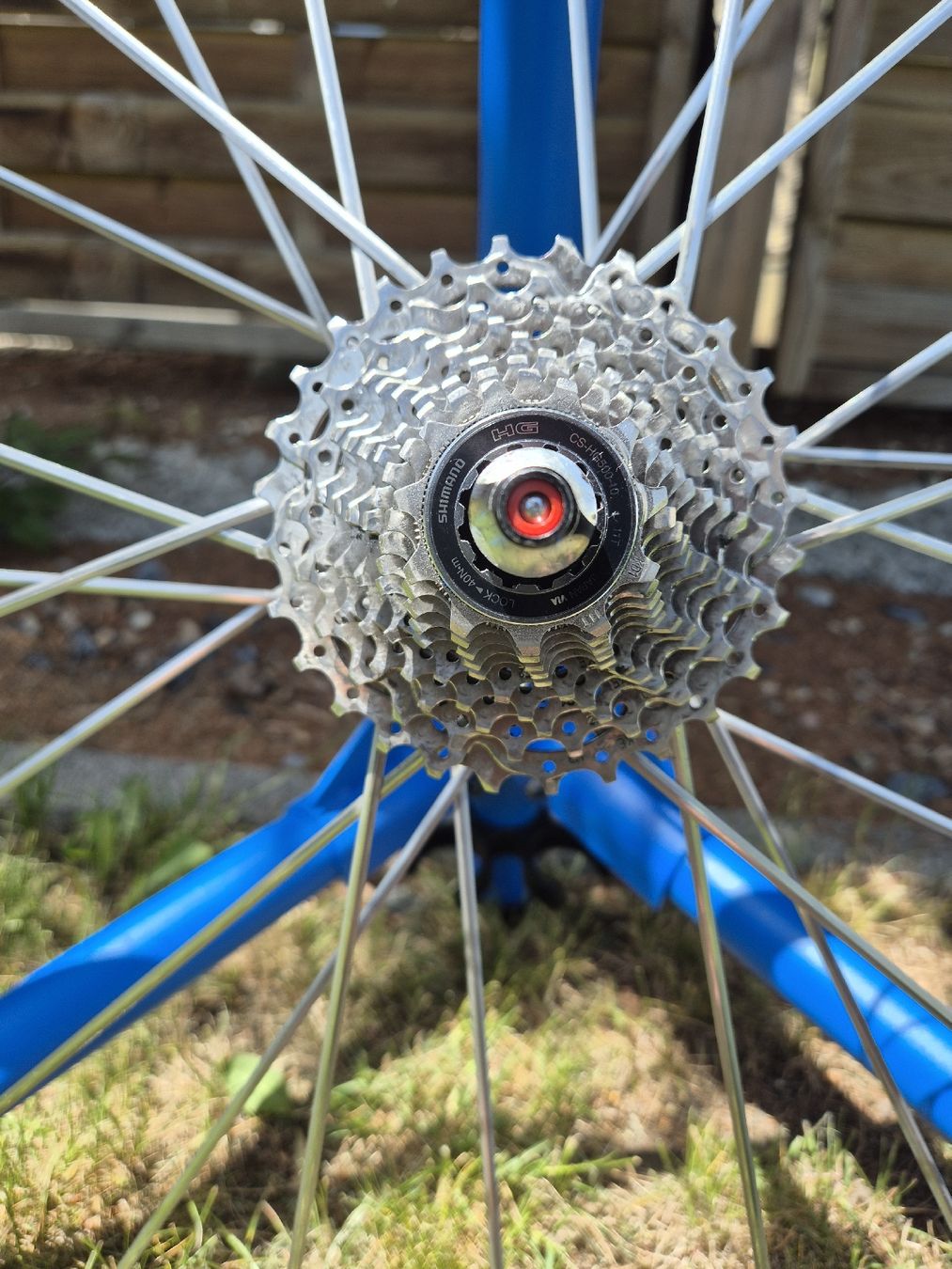 Pneumatici & Ruote complete: Bontrager Rennveloräder – Usato da Escholzmatt venduto da Commessa 6
