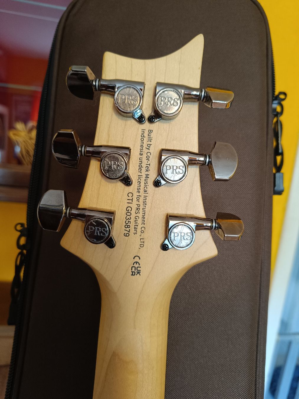 PRS Instruments de musique: PRS SE Sandblasted CE 24 LTD – Neuf (Voir description) à Biberist par Belzebu 2