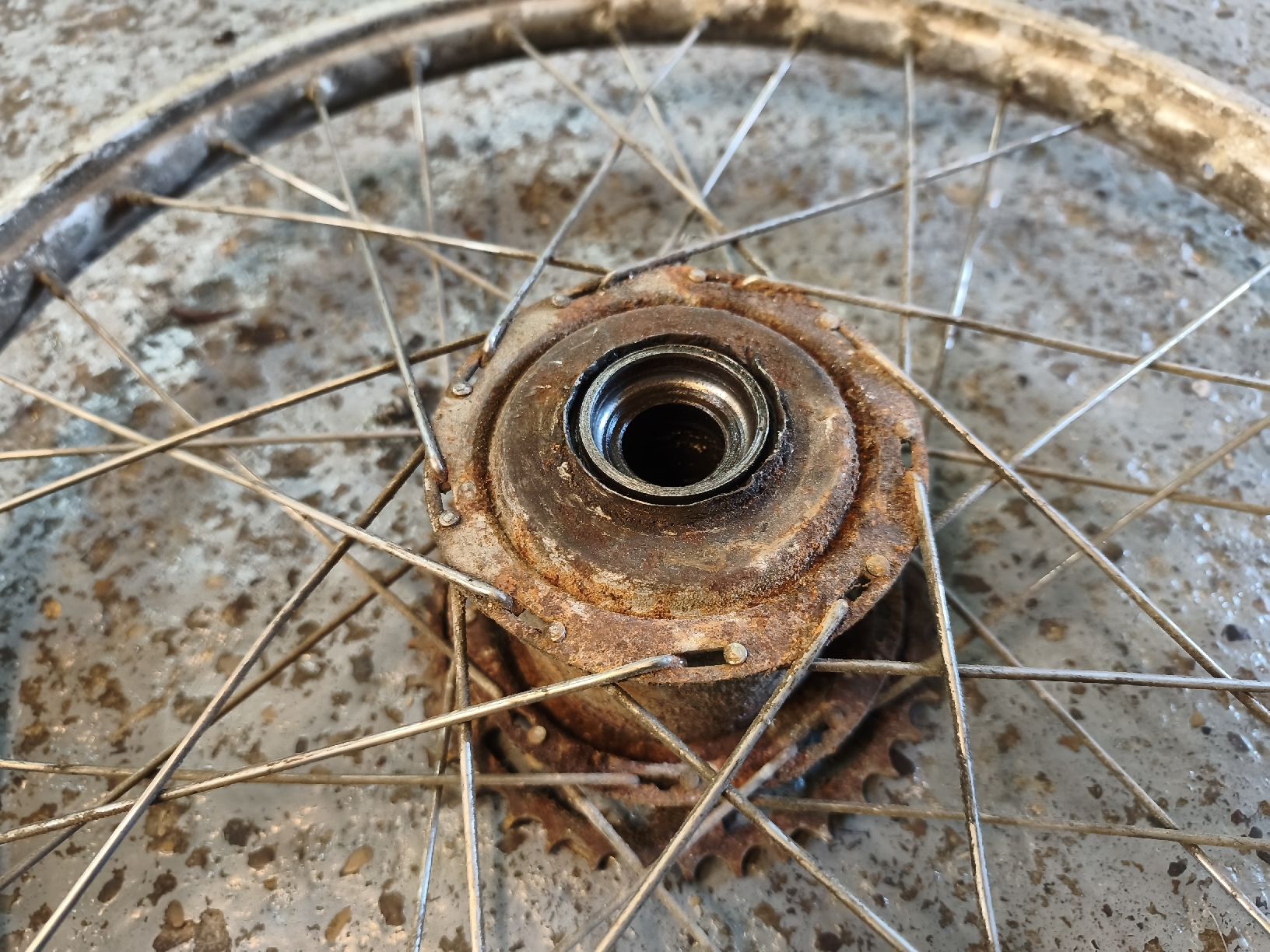 Pneus & Kompletträder: Rücktritträder Puch / Sachs – Defekt aus Münchwilen TG von Denso33 6