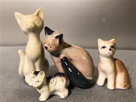 ❗AKTION  7.- Fr. !!❗4x vers. alte herzige Katzen / Büsi, Pst