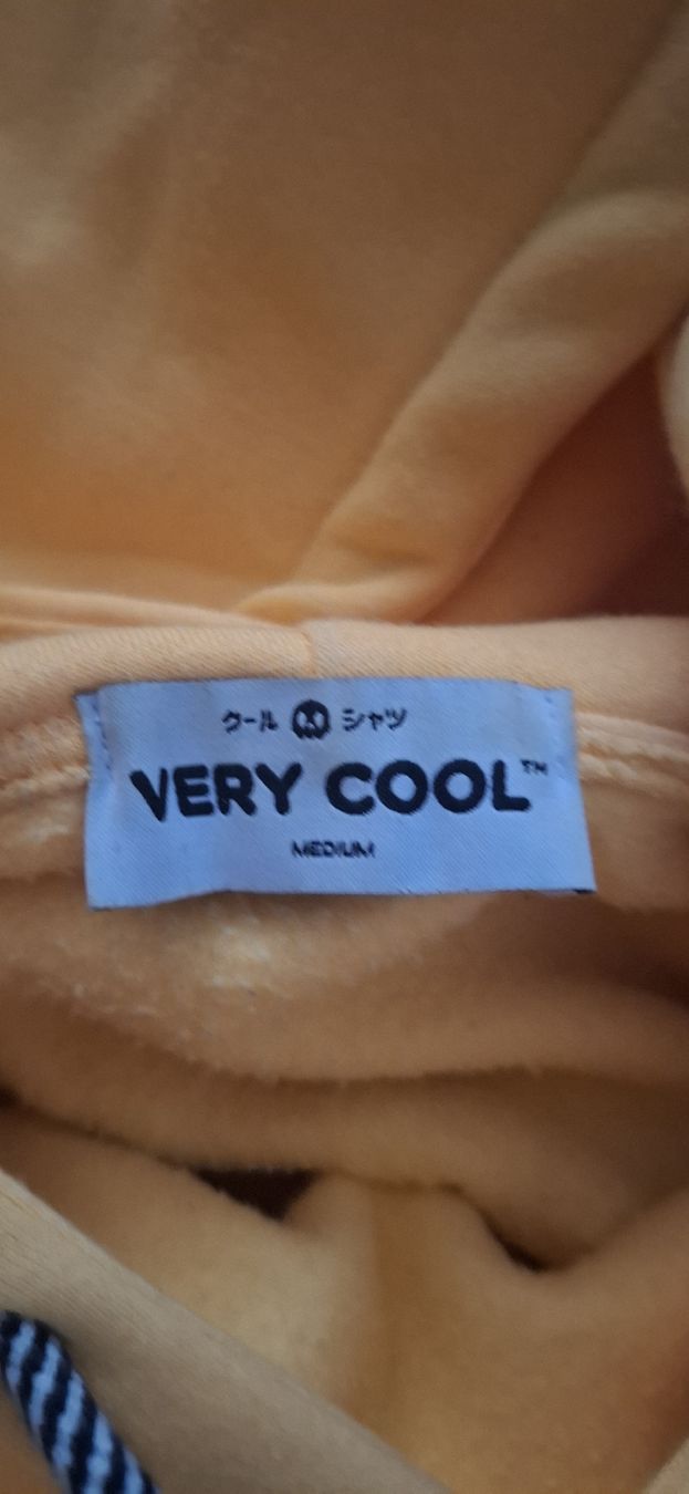Maglioni & Felpe: VeryCool Hoodie.  – Usato da Dachsen venduto da fio_8gpt 5