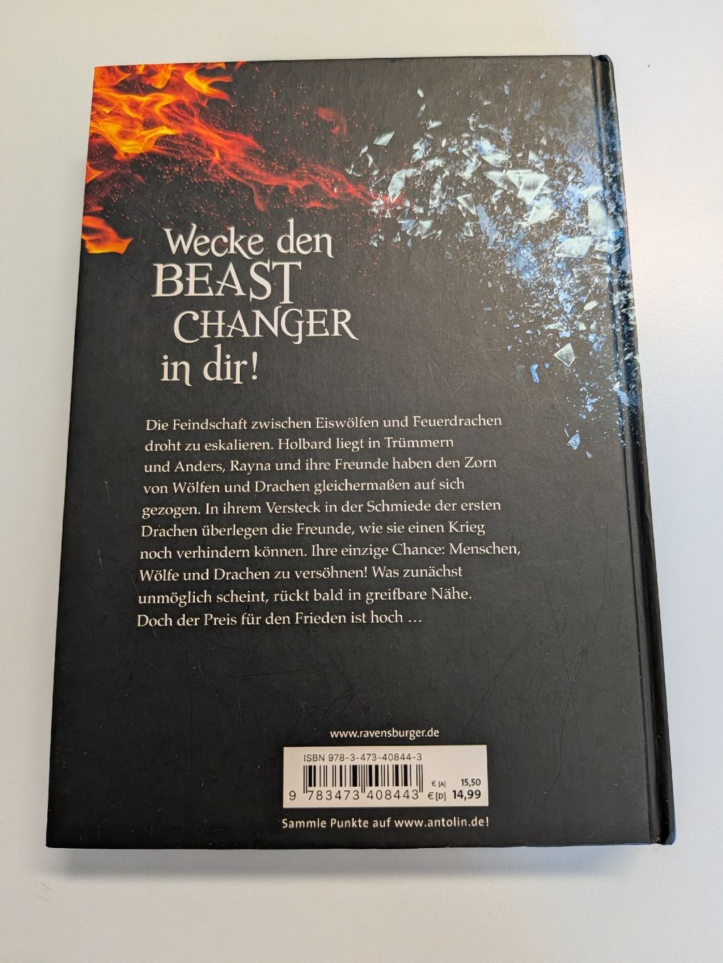 Libri: Buch Beast Changer – Usato da Lostorf venduto da einkaufen.sara 1
