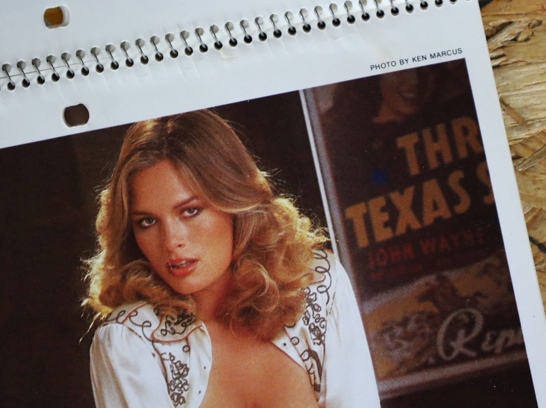 Playboy Calendari: PLAYBOY Kalender 1981 – Usato da Birrwil venduto da brandschatz_birrwil 3