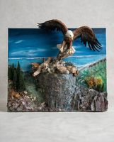 Adler